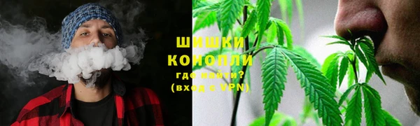 марихуана Белокуриха