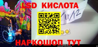 крисы Новозыбков