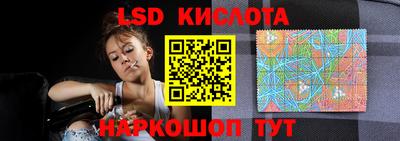 крисы Новозыбков