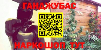 крисы Новозыбков