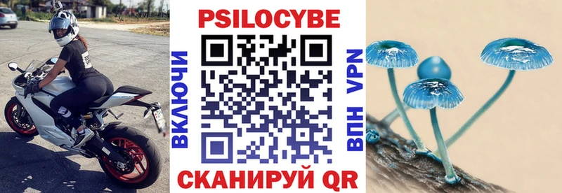 Галлюциногенные грибы мицелий  Славгород 