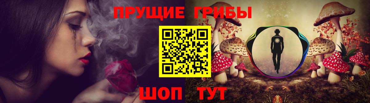 Славгород  закладки  Вход с VPN  Галлюциногенные грибы Cubensis 